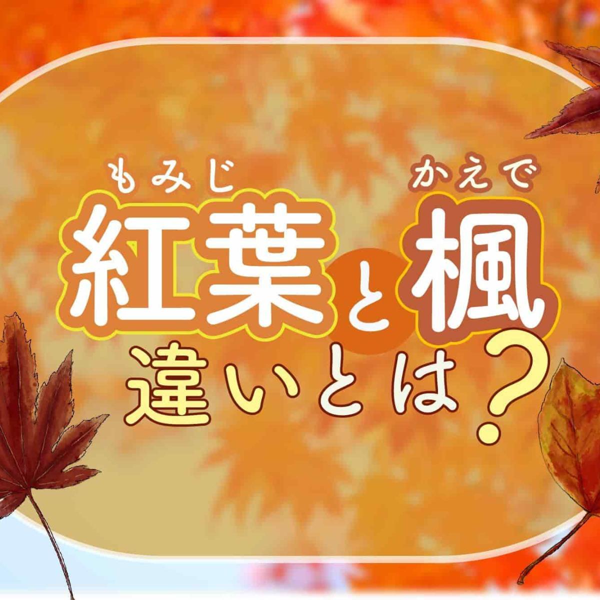 もみじと楓】の違いとは？見分け方や品種による特徴を解説｜THE GATE